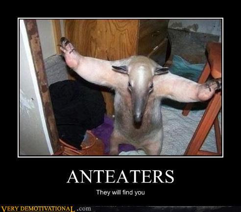 Bilder-Thread Anteaters Funny Demotivationals-s492x432