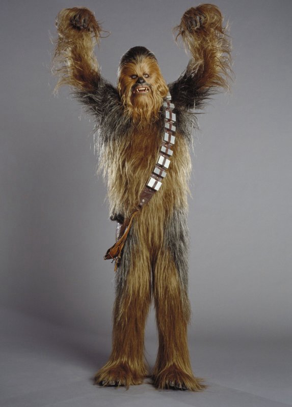 wookie-736962