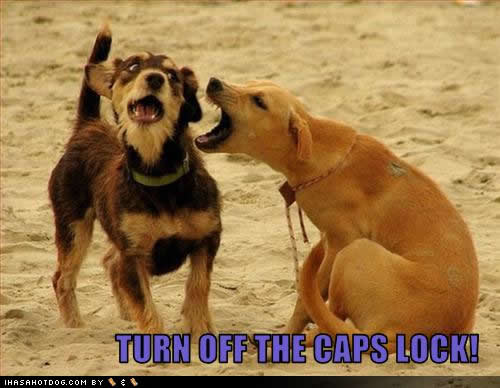 funny-dog-pictures-caps-lock