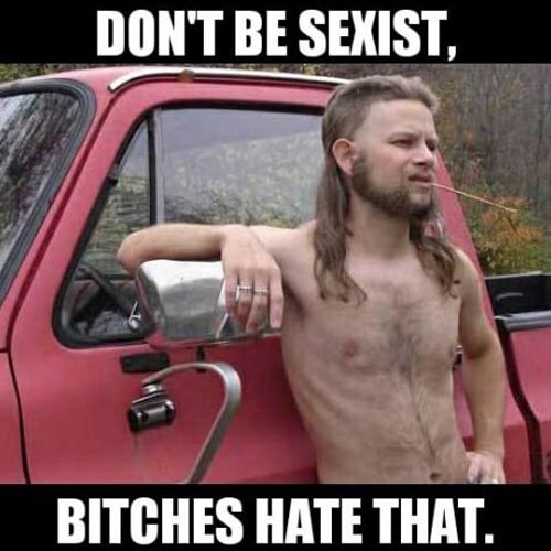 almost-politically-correct-redneck-sexis