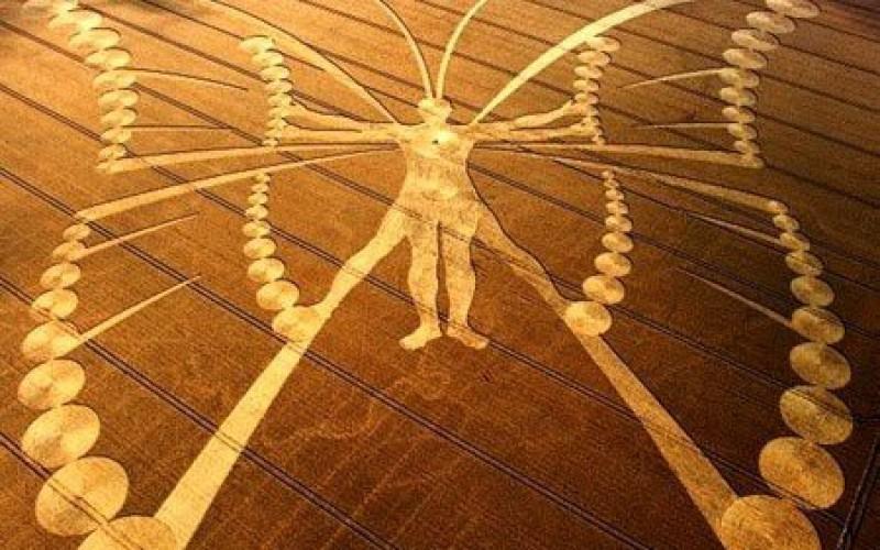 Crop-Circle-Design-800x500 c