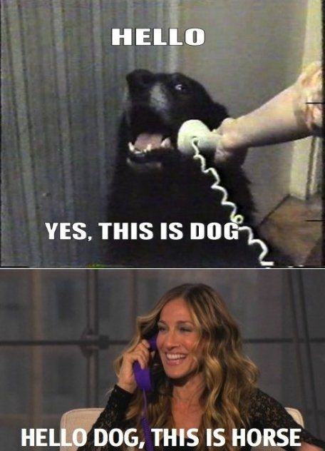 Bilder-Thread This-is-dog