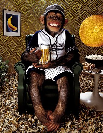 monkey-and-beer
