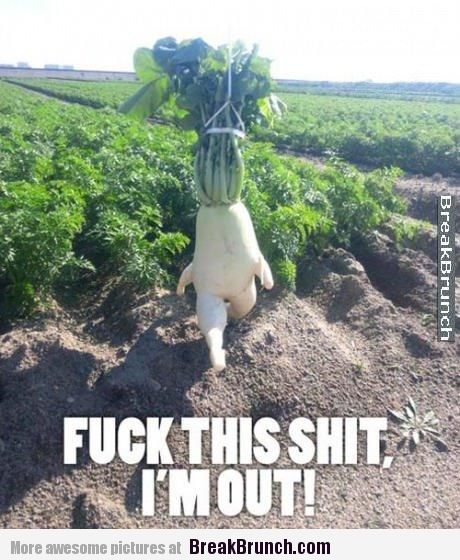 Bilder-Thread im-sick-of-being-a-veggie
