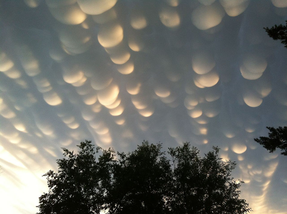 mammatus lindsay 960