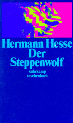 6c3ff4 buecher - der steppenwolf