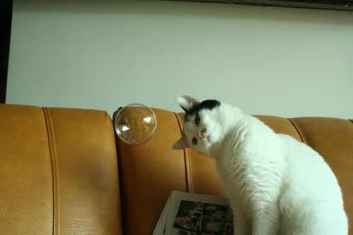 Bilder-Thread b71fab tumblr mjafdiao7M1qz4d4bo1 500