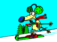 ski-0023