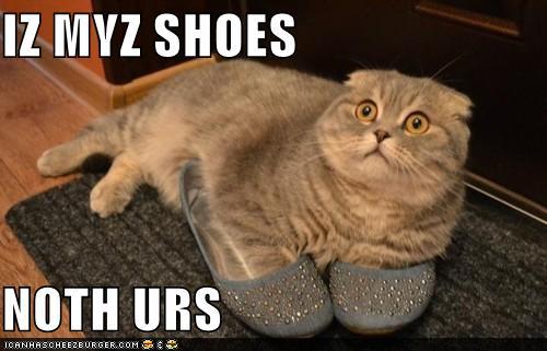 Bilder-Thread t0HgN61 funny-pictures-iz-myz-shoes-noth-urs