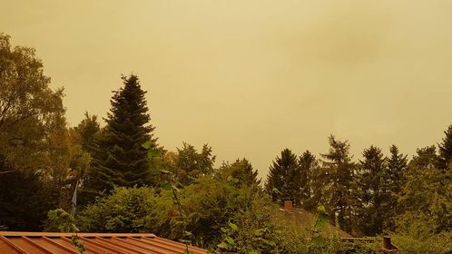 himmel-gelb.jpg 498x280 q80 crop-