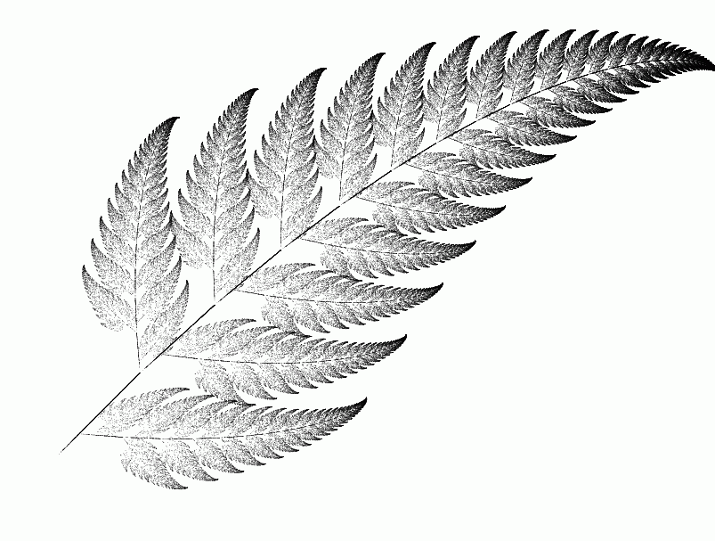 fractal-fern