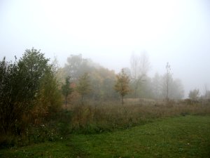 herbst nebel 1