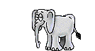 tae0556 elefant 0010