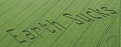 alien graffiti crop circles