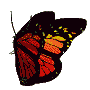 a67d4a animaatjes-vlinders-20656