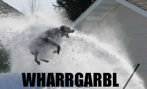 Bilder-Thread 388961wharrgarbl snow