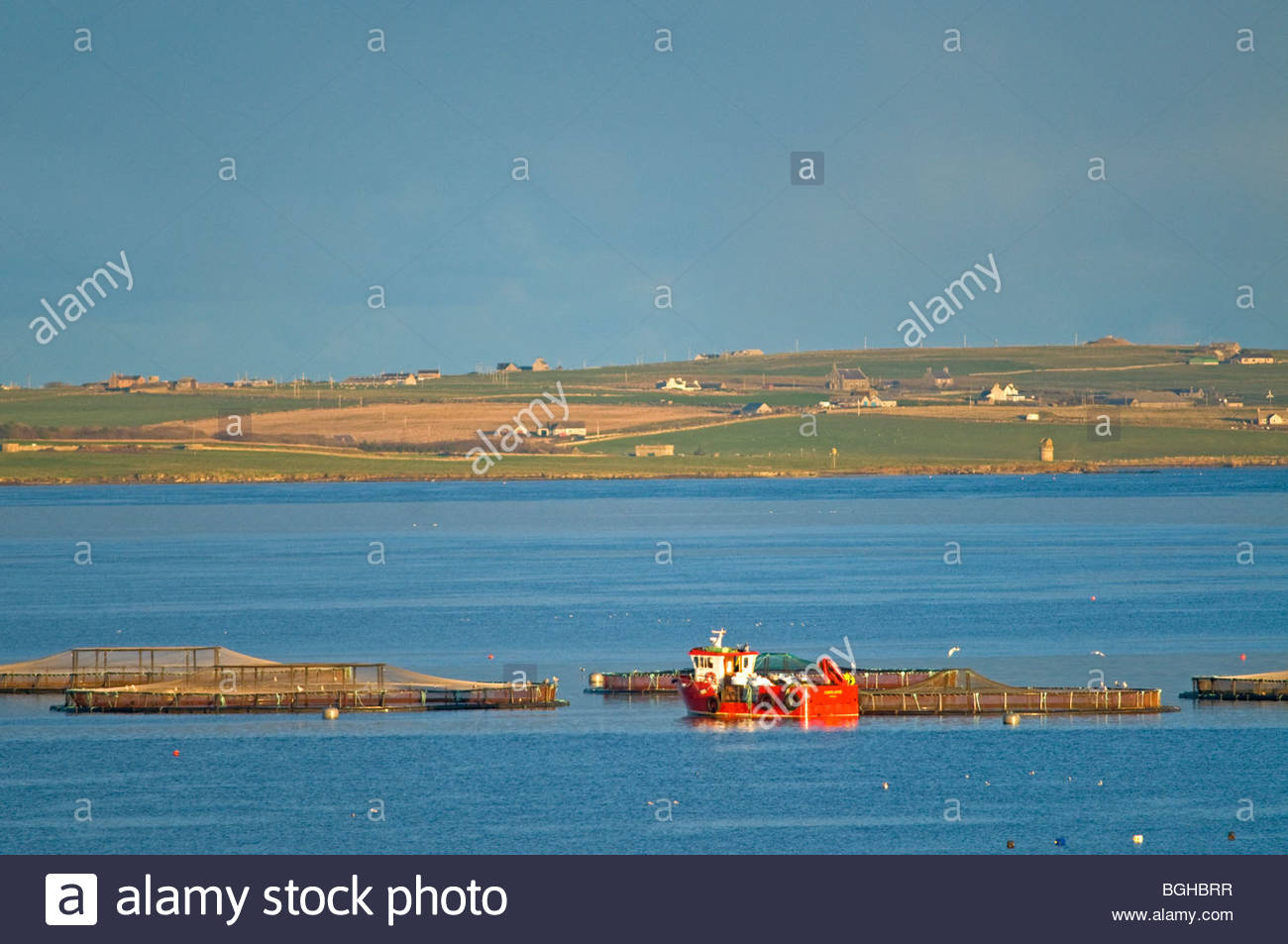 fischzucht-in-der-bucht-von-kirkwall-aus