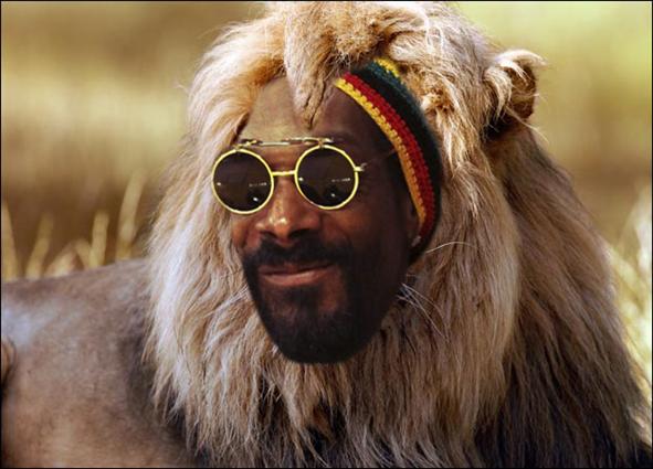 snoop-dogg-now-snoop-lion h