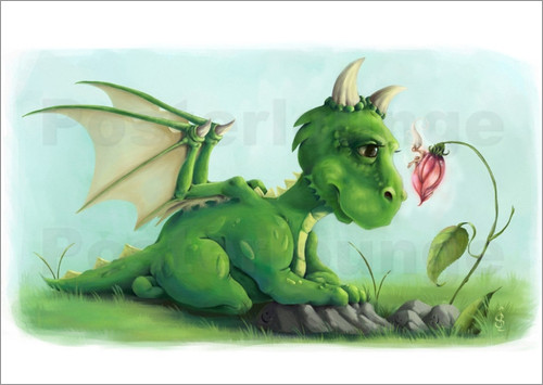 poster drache und fee 24091