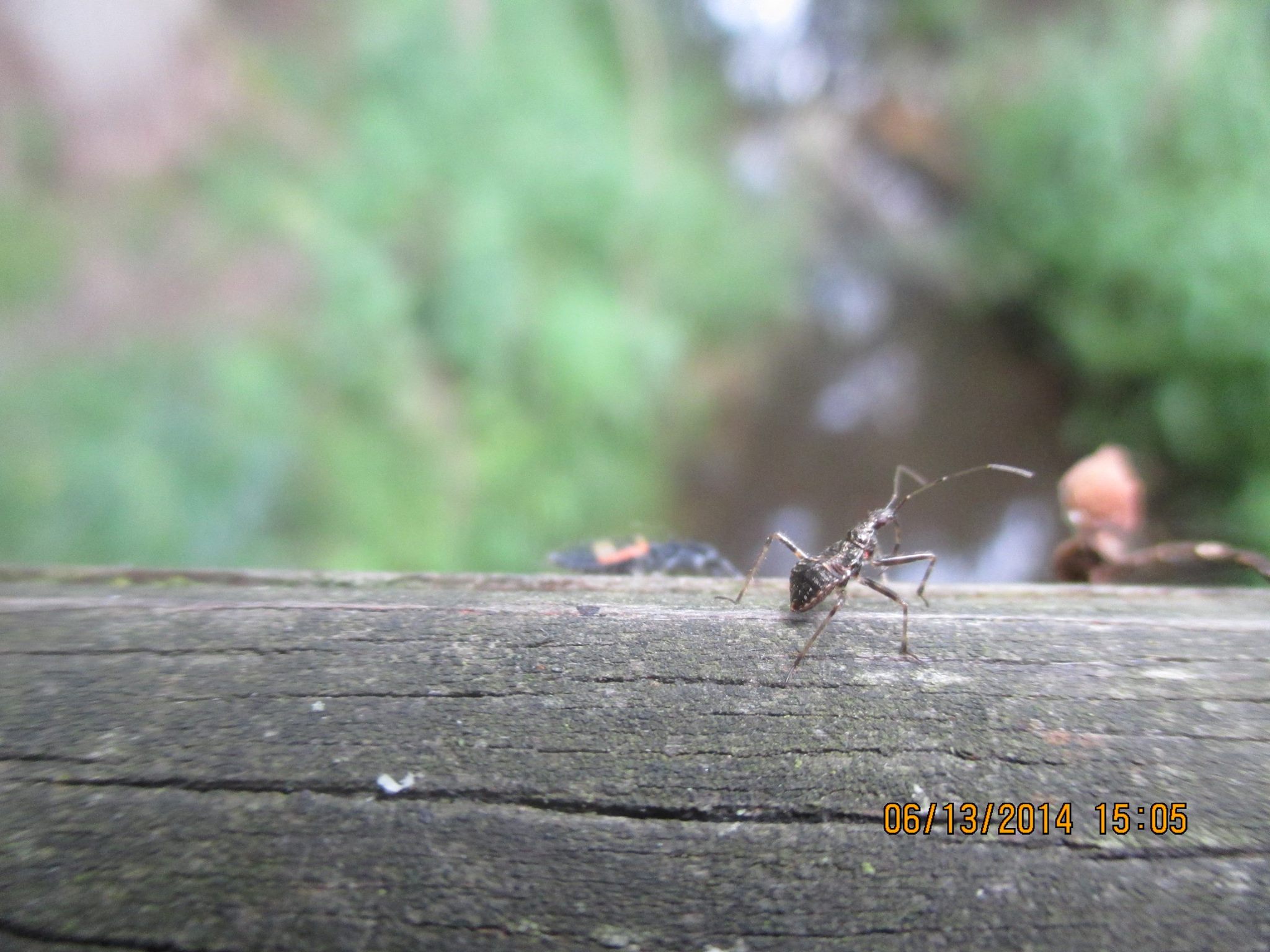 Bilder-Thread 10329987 764262460261222 127548685814126