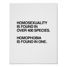 homosexuality is found in 400 species po