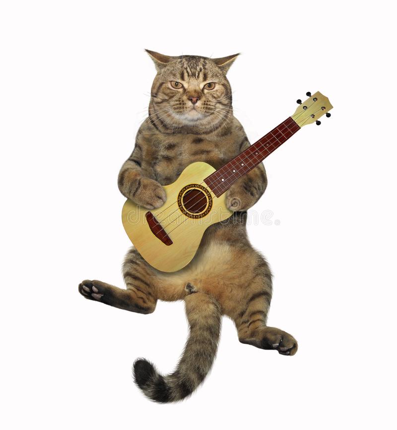el-gato-toca-la-guitarra-está-tocando-ac