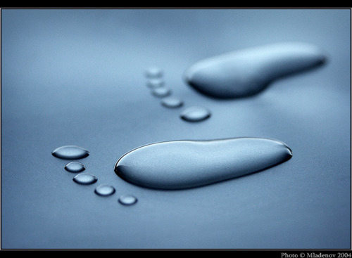 Bilder-Thread fd7038 tumblr lsg9eaAvkl1qe77rqo1 500