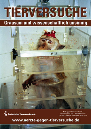 ilemCO poster primatenstuhl