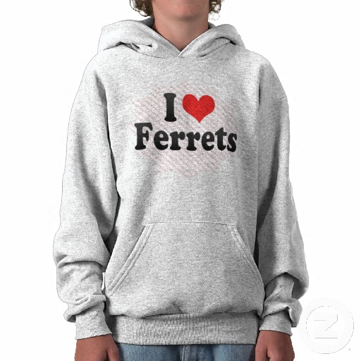 i love ferrets hoodies-r99e3e5c355914525