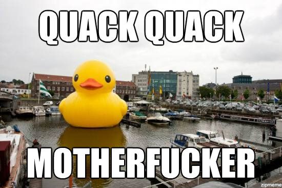 quack quack motherfucker