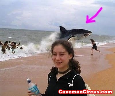 Bilder-Thread 10 greatest animal photobombs of all tim