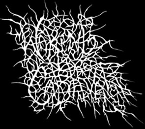 Bilder-Thread waking the cadaver logo