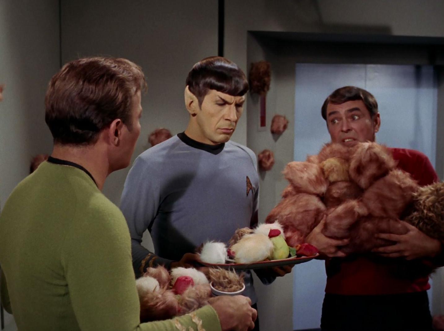 Scotty bringt Tribbles