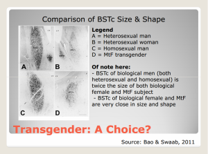 mtf brain scan differences