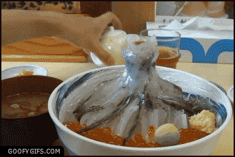funny-gifs-seafood-in-japan