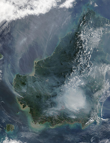 460px-Borneo fires and smoke2C 2002