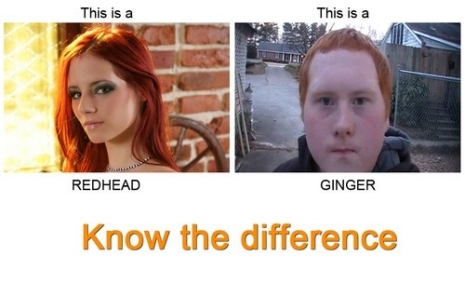 redhead-or-ginger