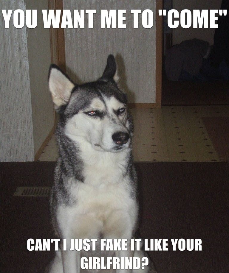 Bilder-Thread Sarcastic-Dog-Meme-Doesnt-Want-To-Come