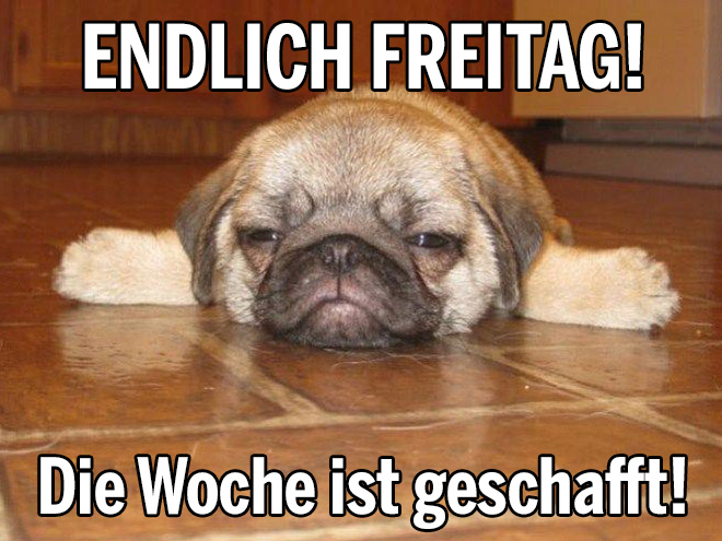 endlich-freitag-die-woche-ist-geschafft