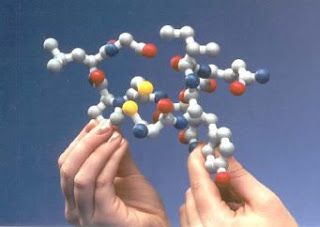 oxytocin structure.bmp