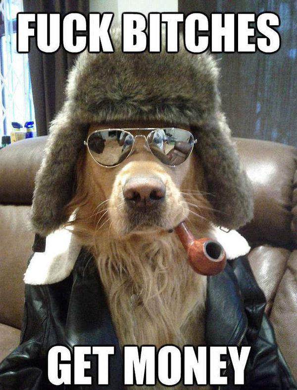 Bilder-Thread a.baa-Funny-dog-bitches