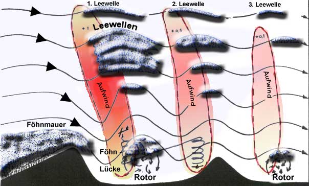 schema1