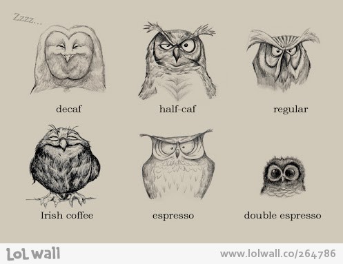 f3553d caffeinated-owls 264786-497x