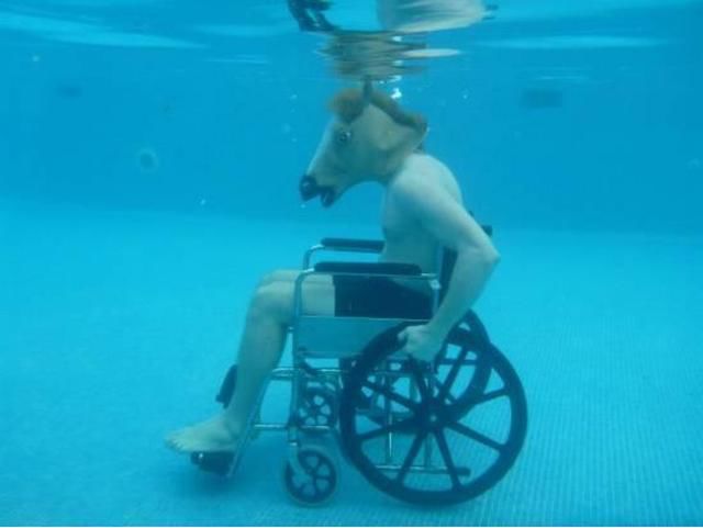 Bilder-Thread random-underwater-swimming-pool-horse-he
