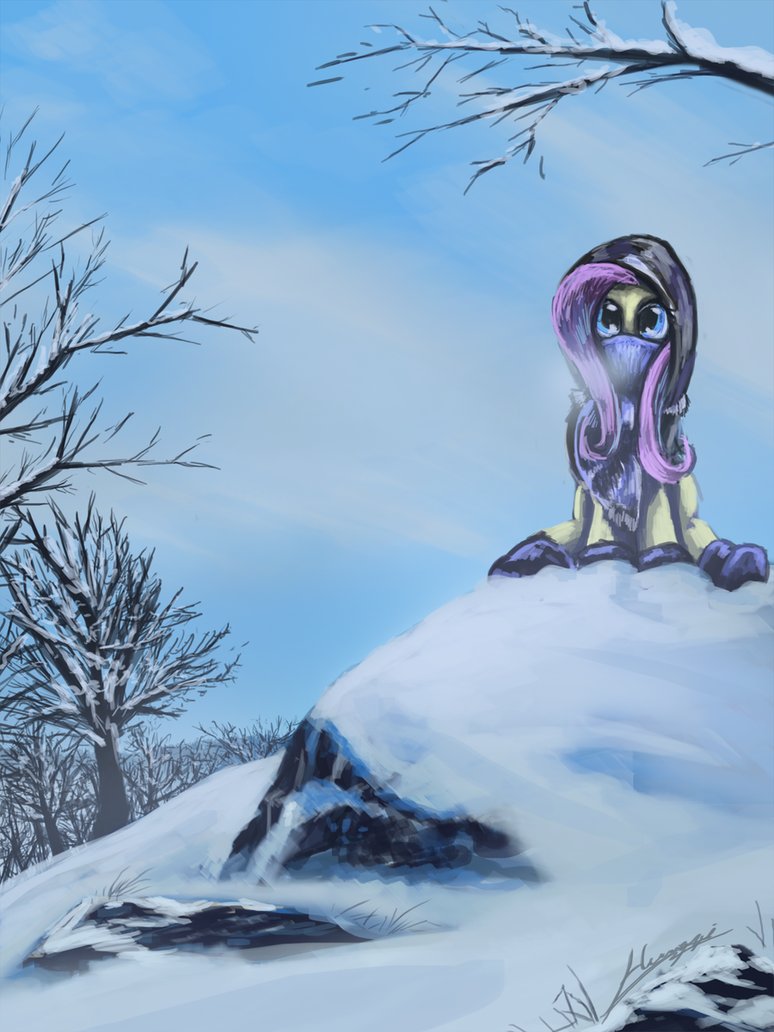 mlp   winter to be wrapped up by huussii