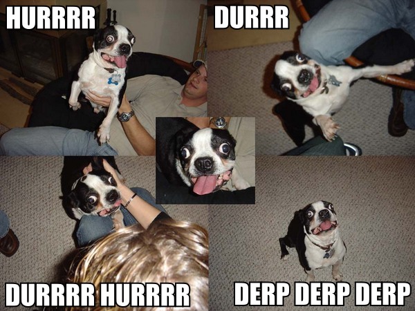 derp-derp-derp-derp