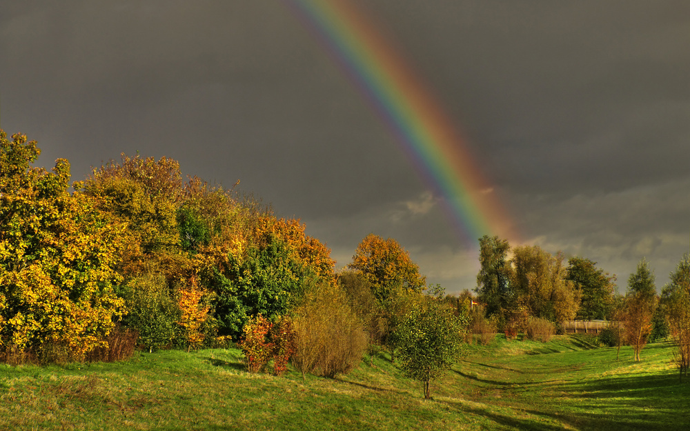 Bilder-Thread somewhere-over-the-rainbow-89857ecc-696e