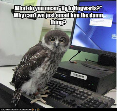 Bilder-Thread funny-owl-image-07