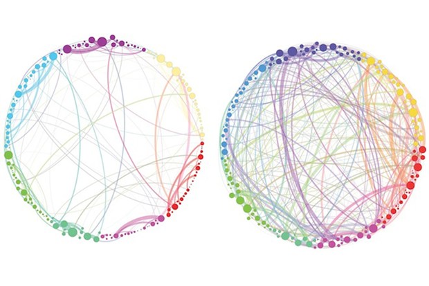 psilocybin networks 660