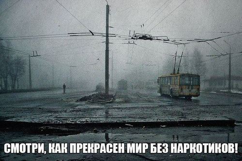 Bilder-Thread 4961 b387 500.jpeg